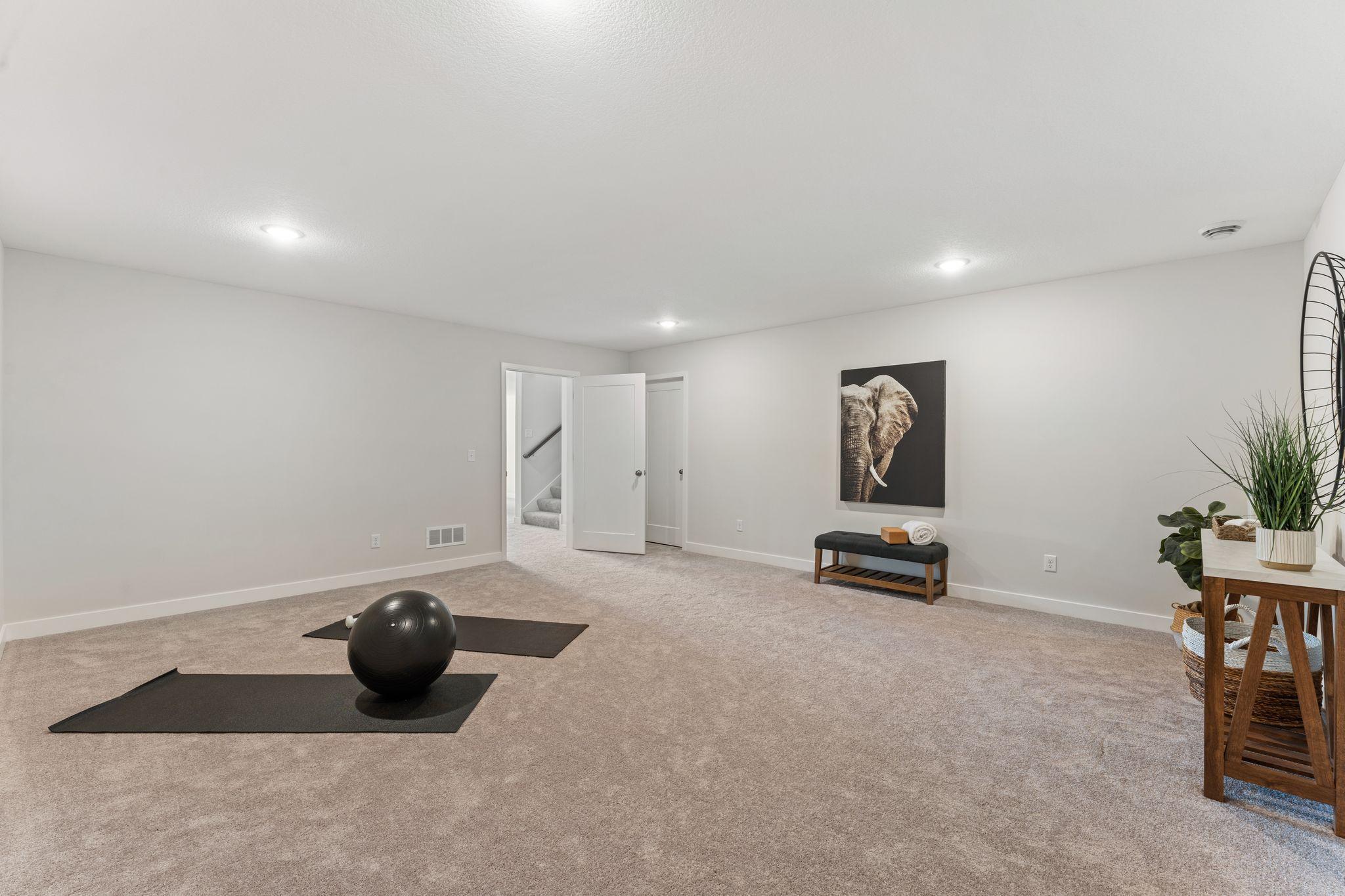 Flex Room Lower Level