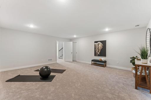 Flex Room Lower Level