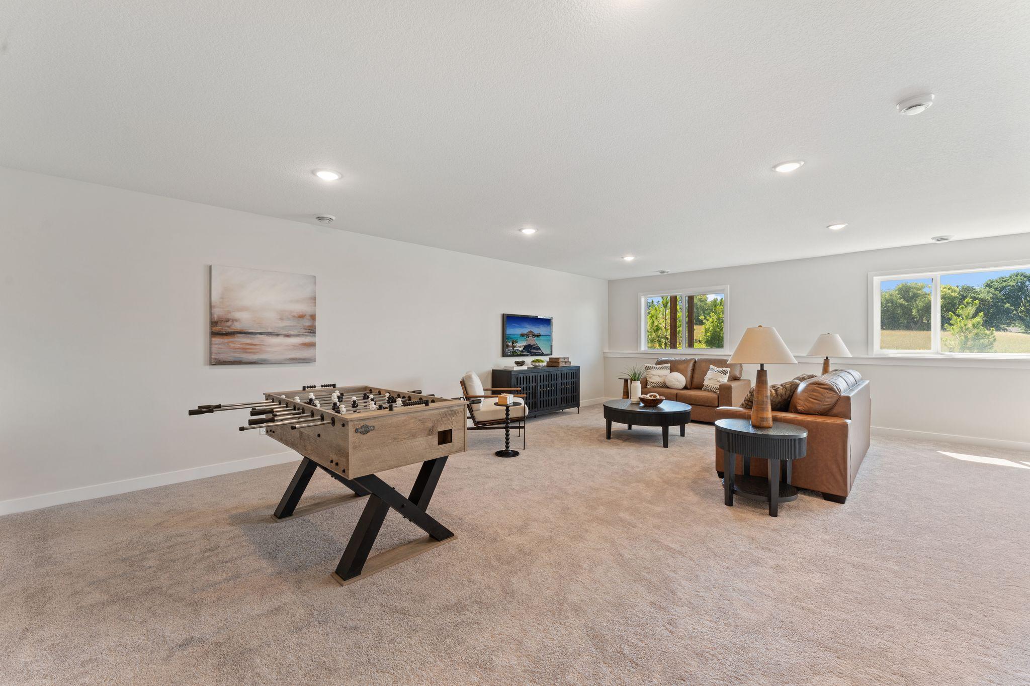 Family Room Lower Level