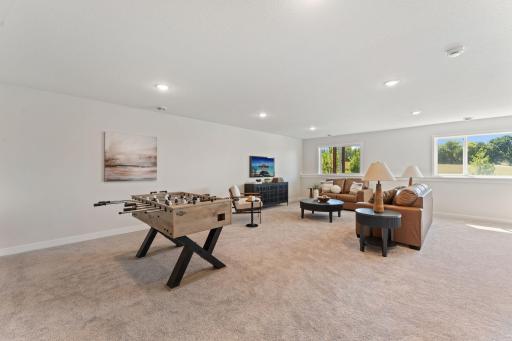 Family Room Lower Level