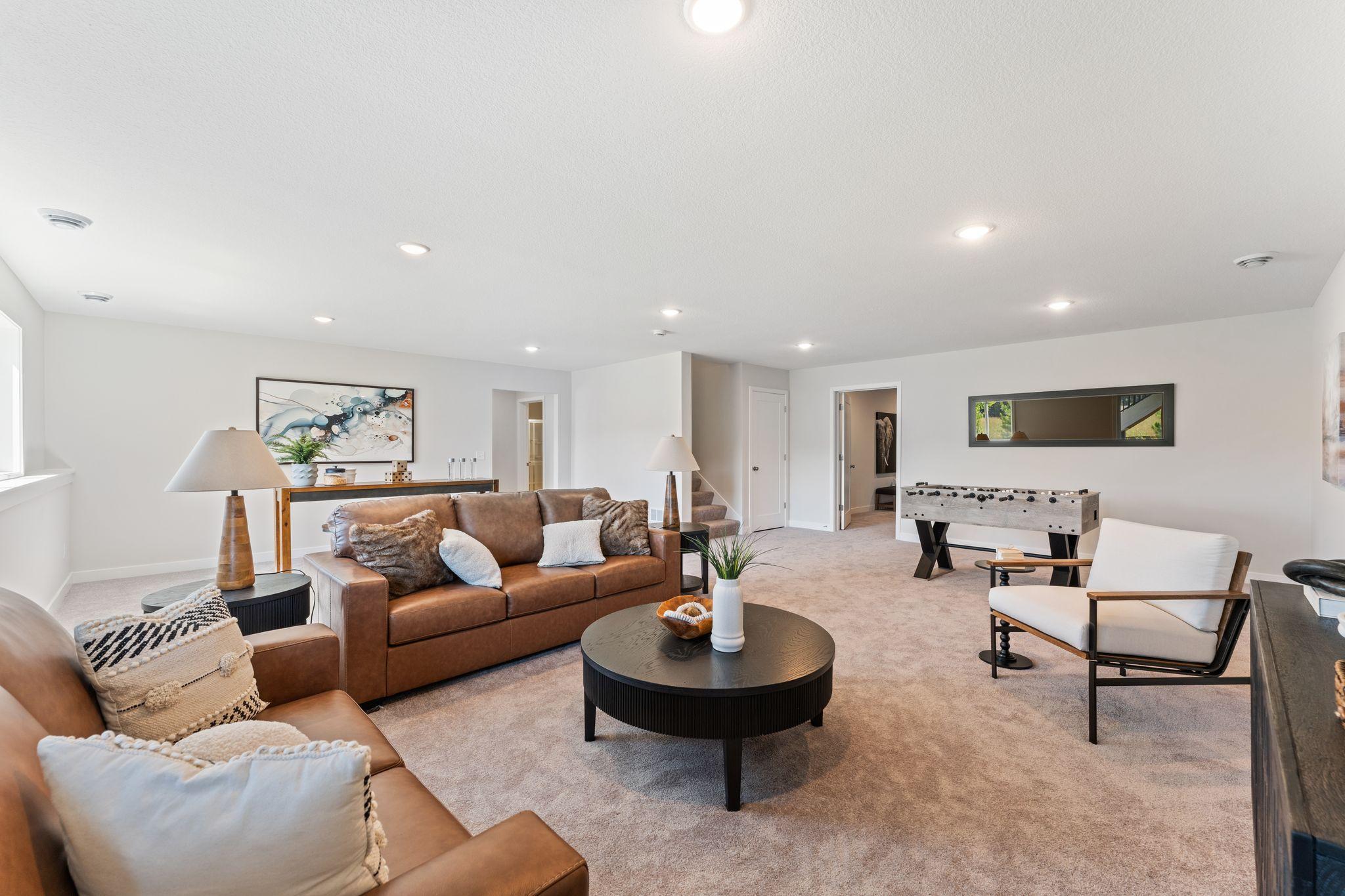 Family Room Lower Level