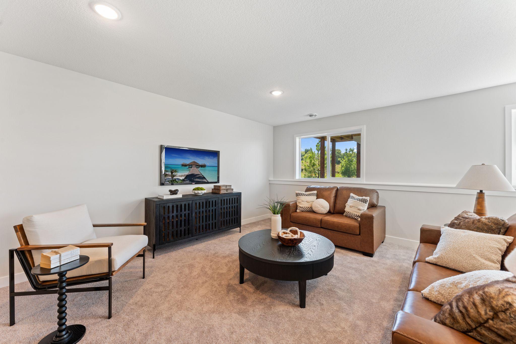 Family Room Lower Level