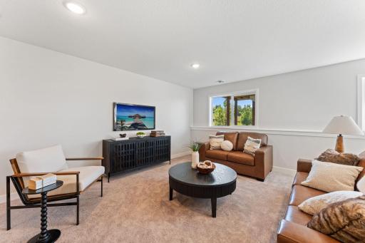 Family Room Lower Level