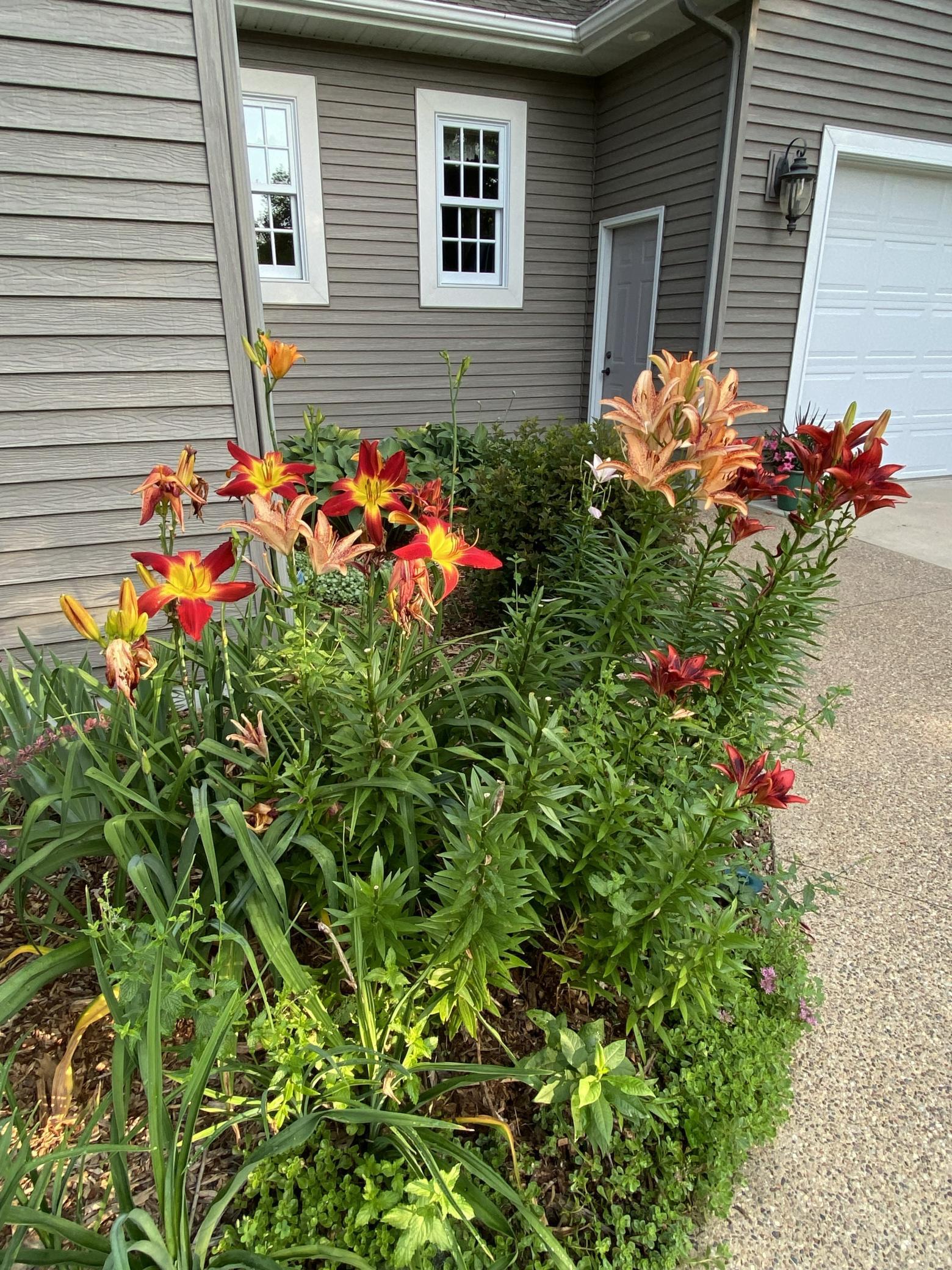 Landscaping