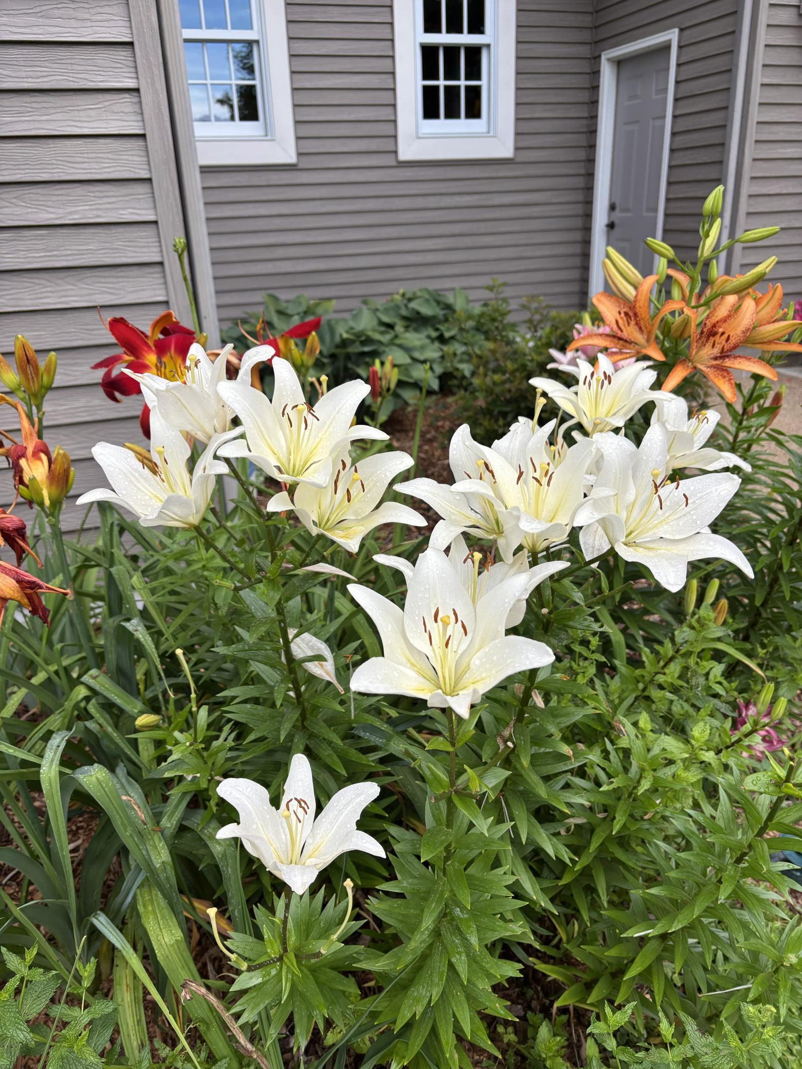 Landscaping