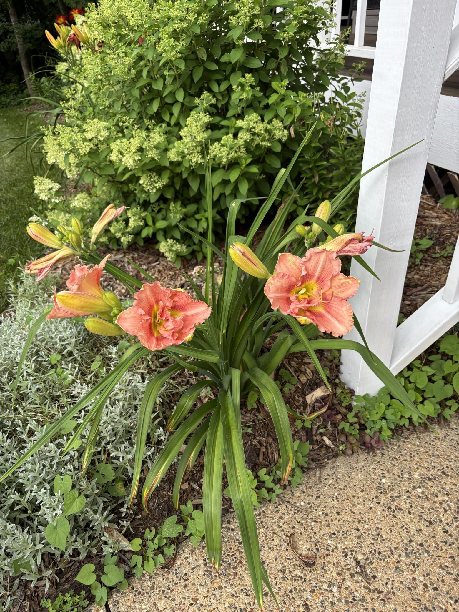 Landscaping
