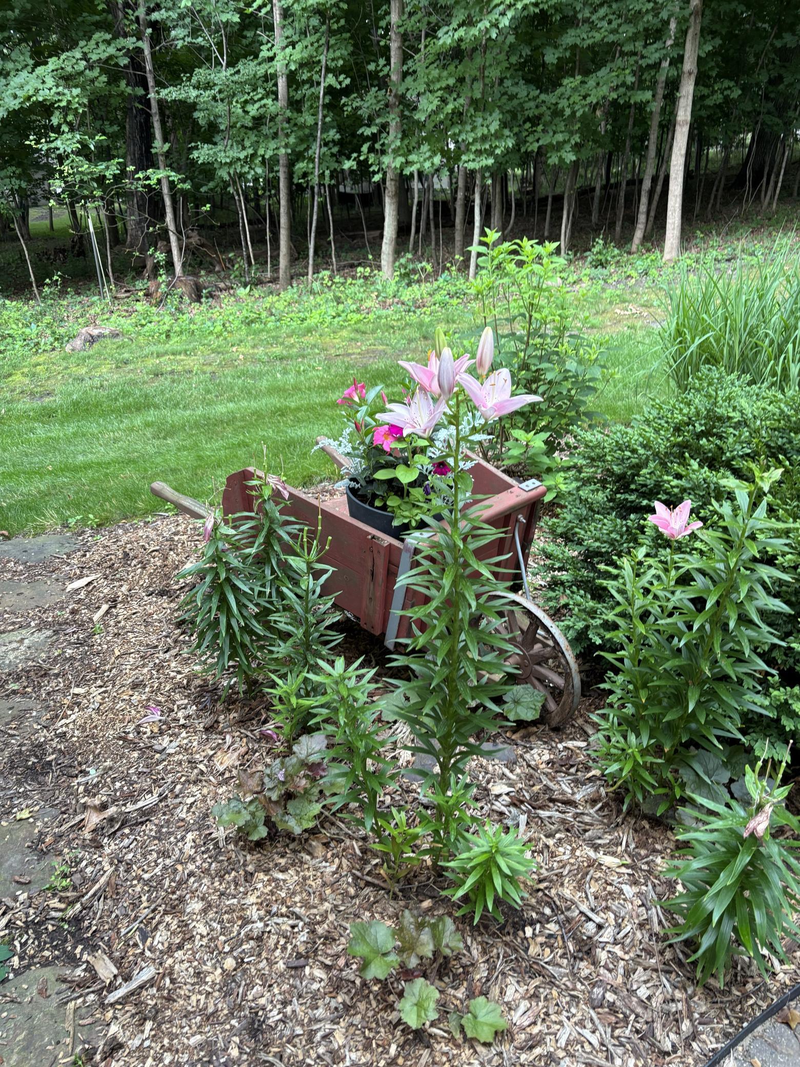 Landscaping