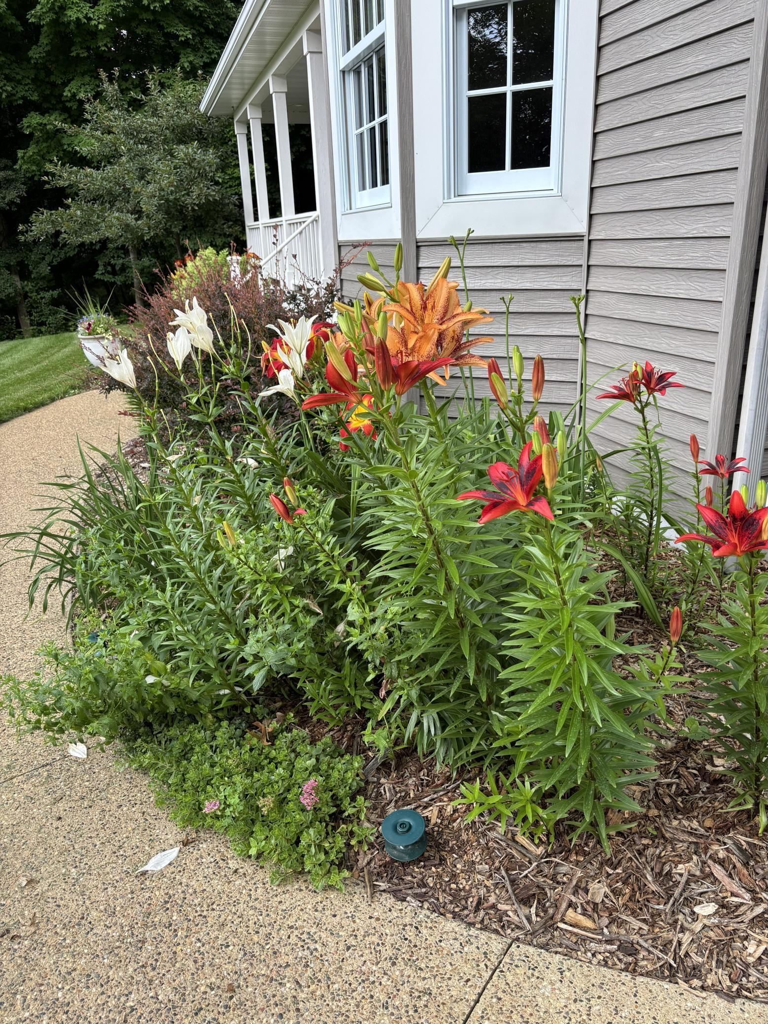 Landscaping