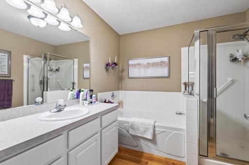 Lots of room in the main floor full bath with deep jetted tub and separate shower with title surround.