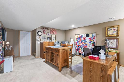 Lot of room in the walkout lower level. This "rec" room area is perfect for some craft space, poker table, pool table, exercise area and so much more.