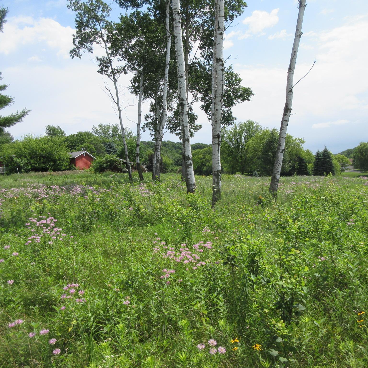 Property photo for Lot 12 516th Street, Menomonie, WI 54751
