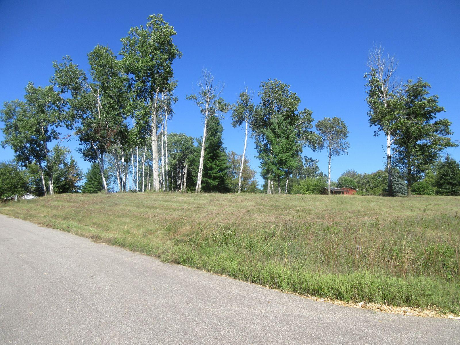 lot 12 1.JPG