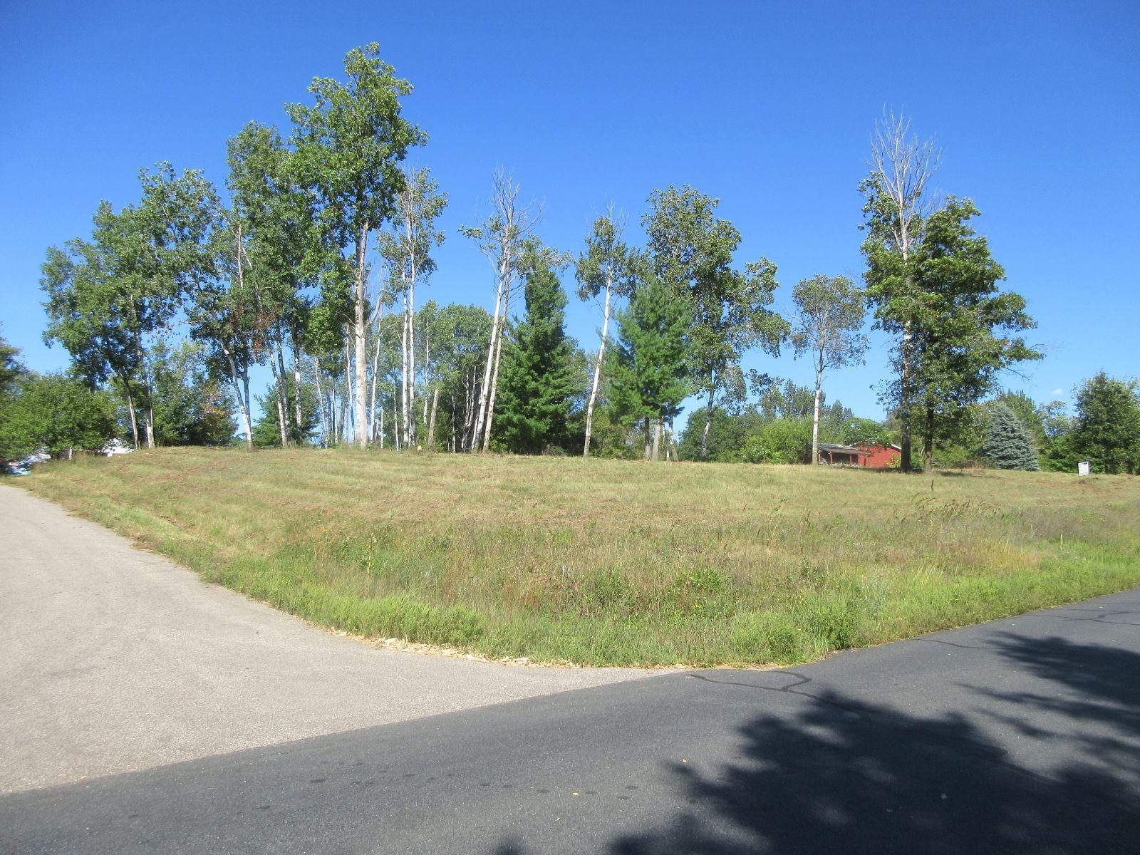 Lot 12 2.JPG