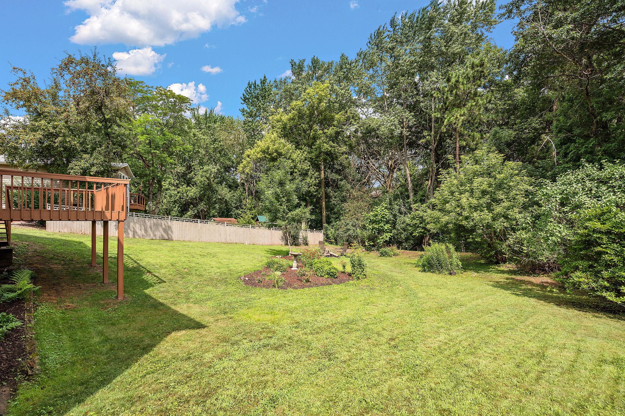 Back yard