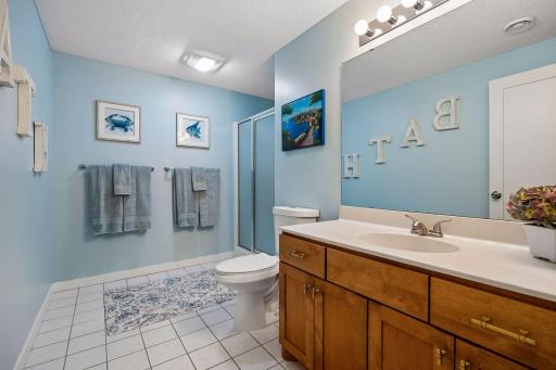 Lower-level 3/4 bathroom