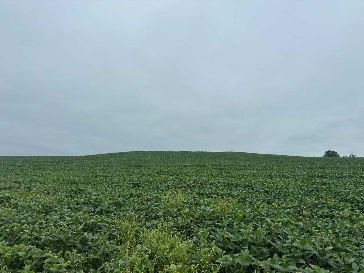 IMG_6075.jpeg