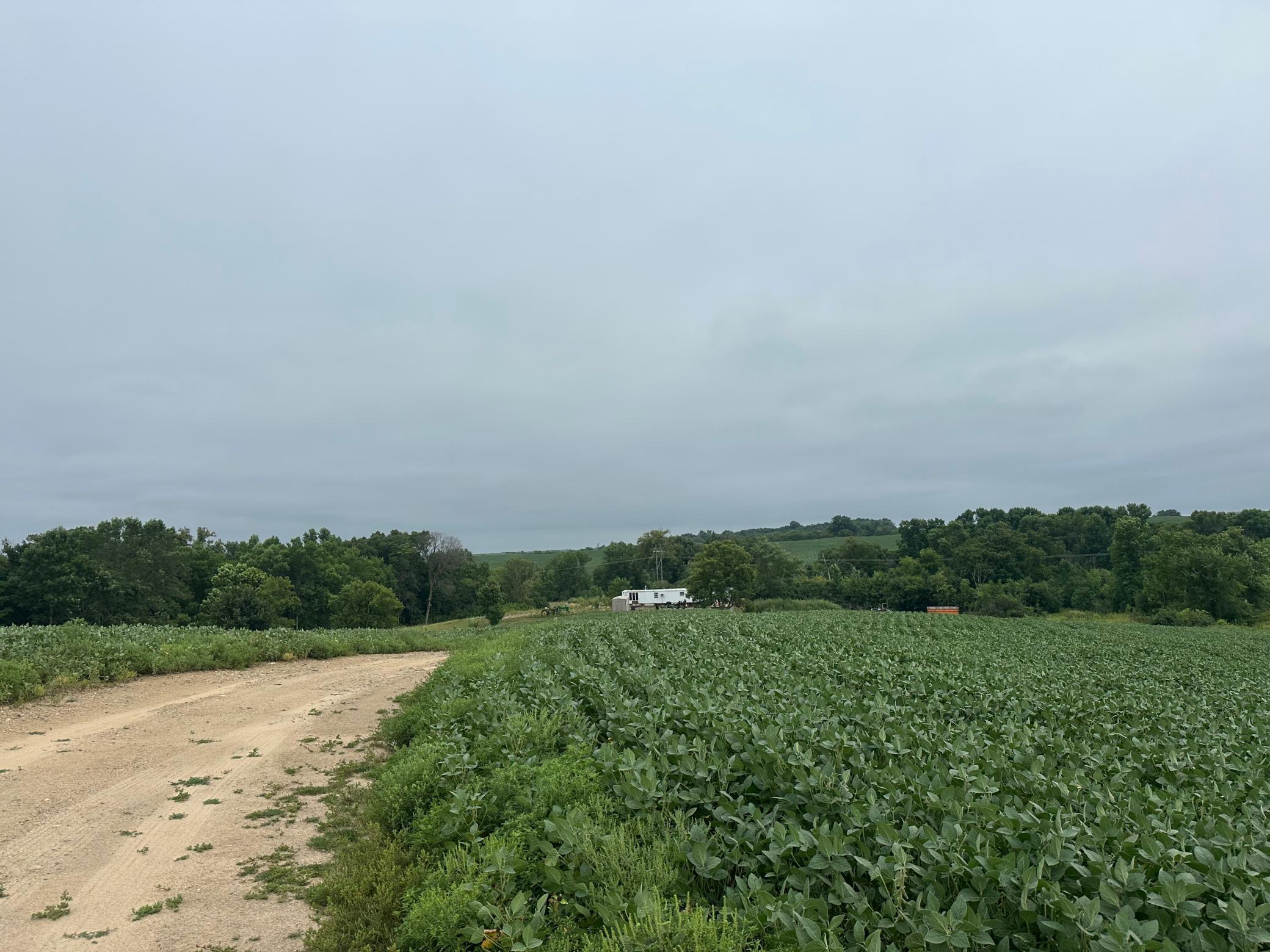 IMG_6081.jpeg