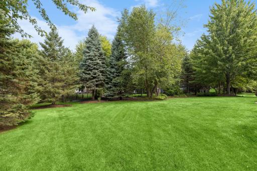 A great view of the private backyard with mature trees.