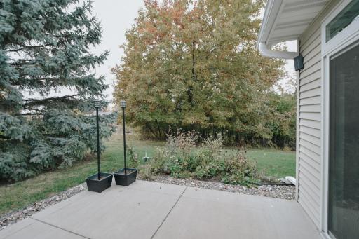 Backyard area