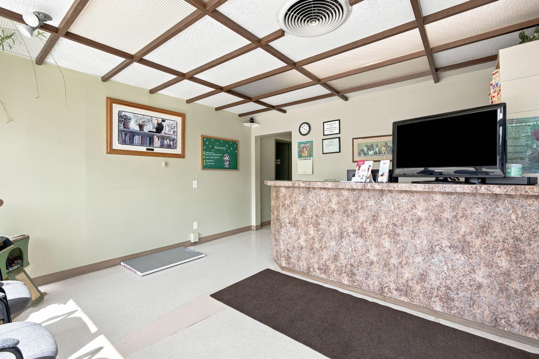 Photo 6
