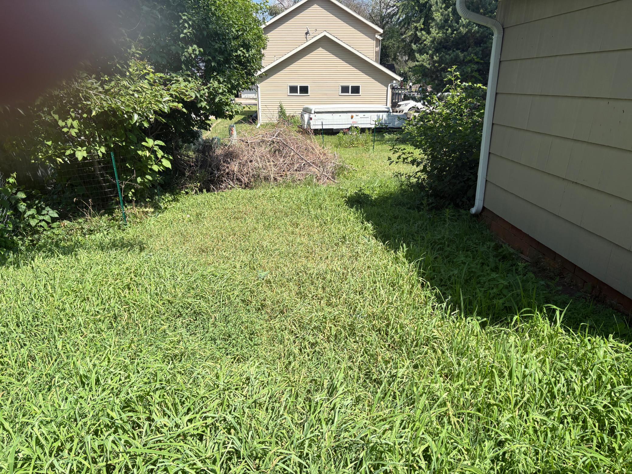 House - back yard