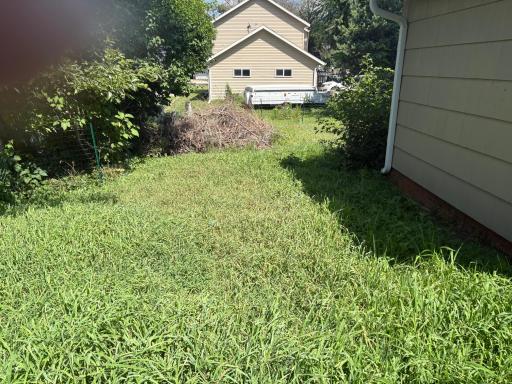 House - back yard