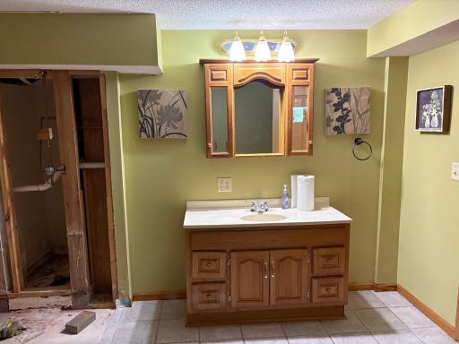 Basement bathroom