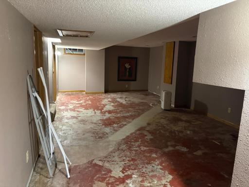 Basement family room