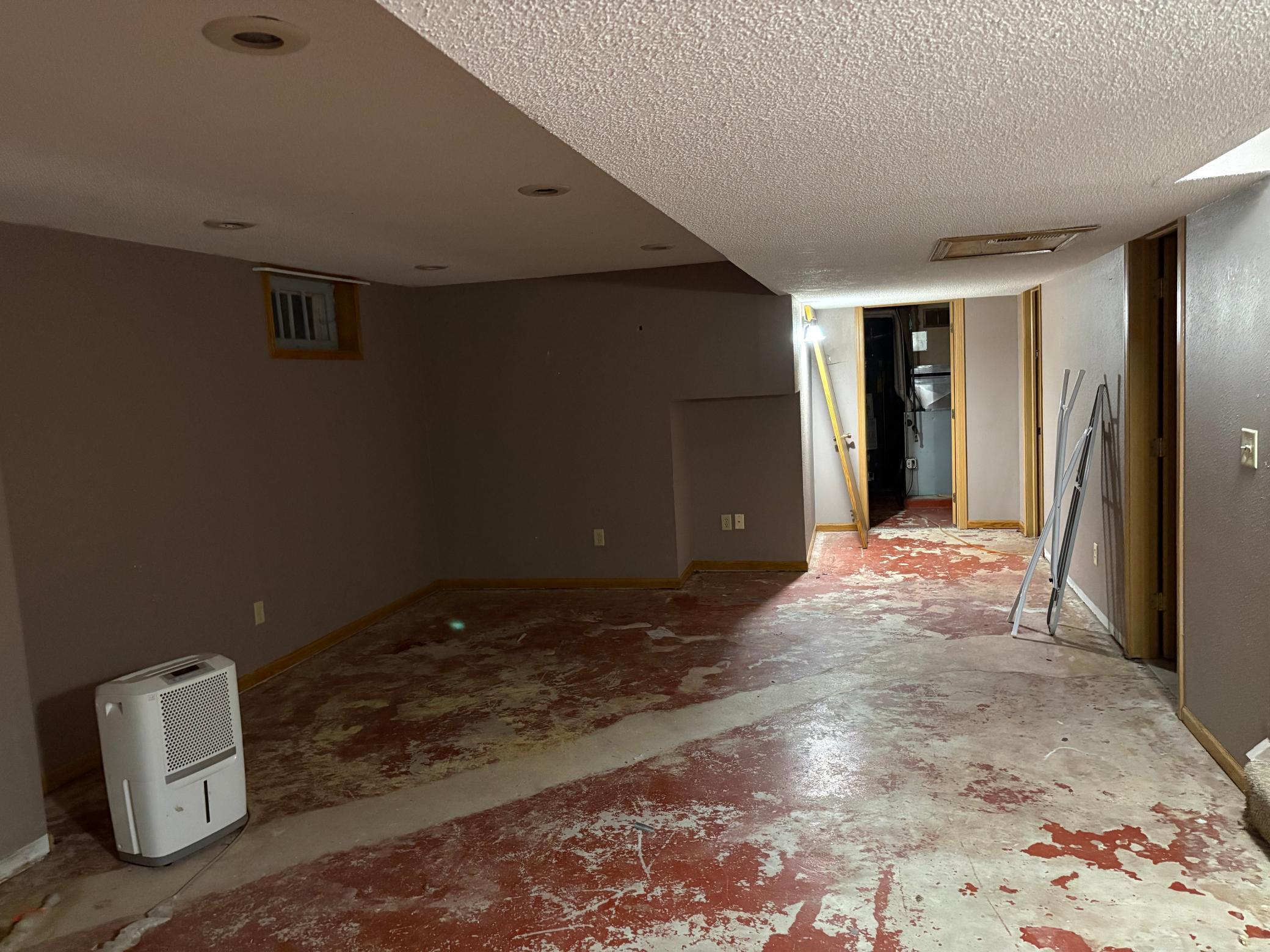 Basement family room