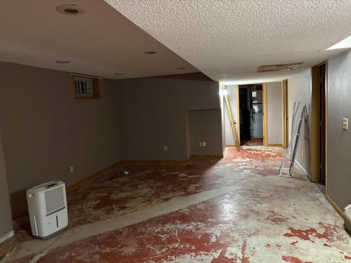 Basement family room