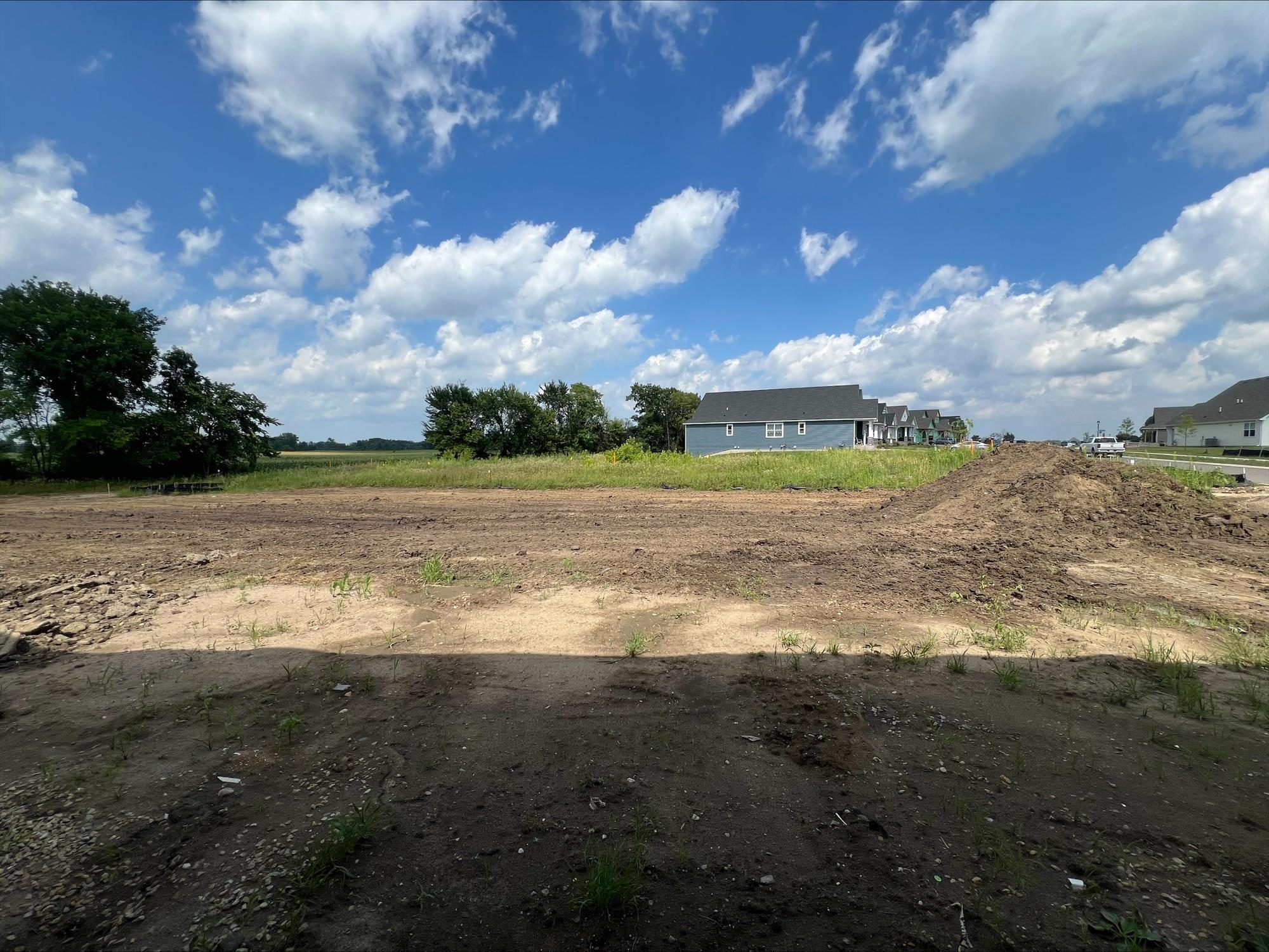 (Photo is of the actual backyard.)