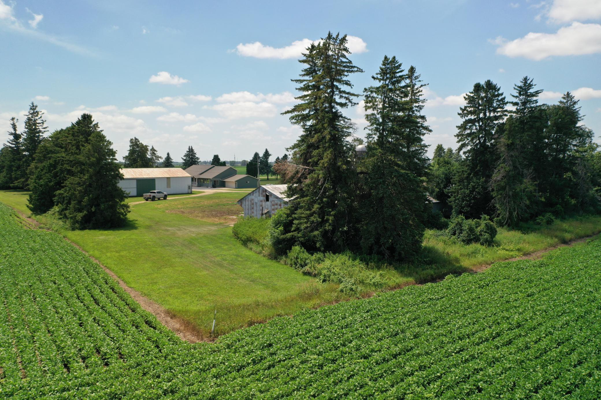 DJI_0531.JPG
