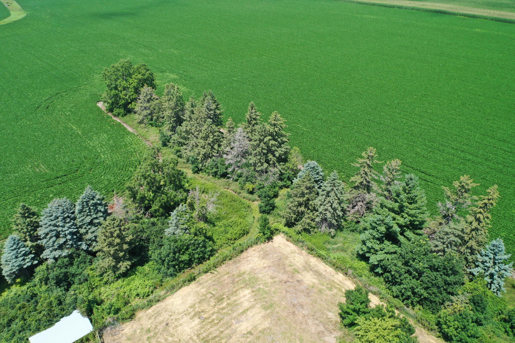 DJI_0528.JPG