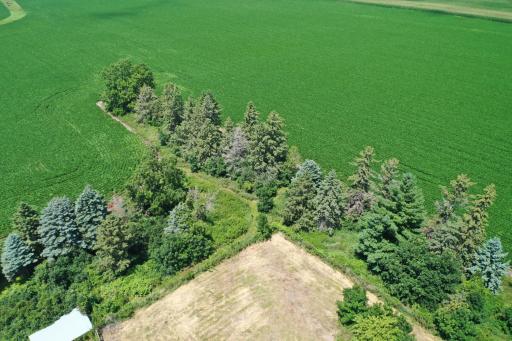 DJI_0528.JPG