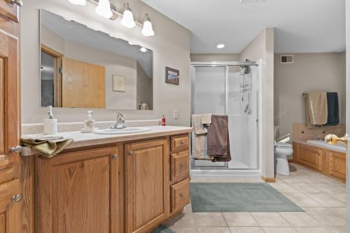 Ensuite with walk in shower & jetted tub~