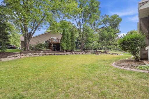 Large, flat backyard