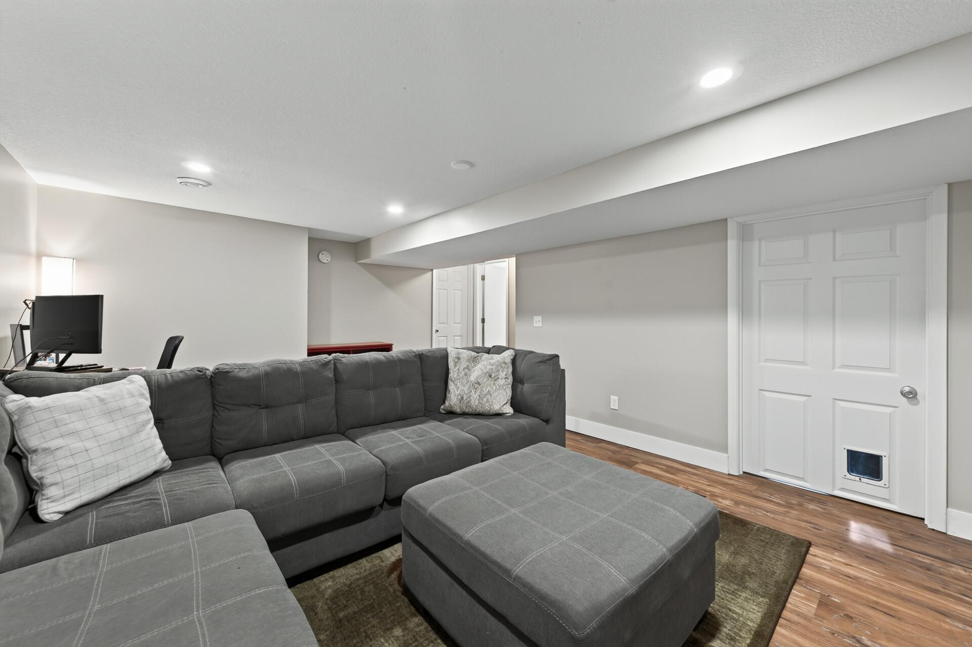 lower level family room