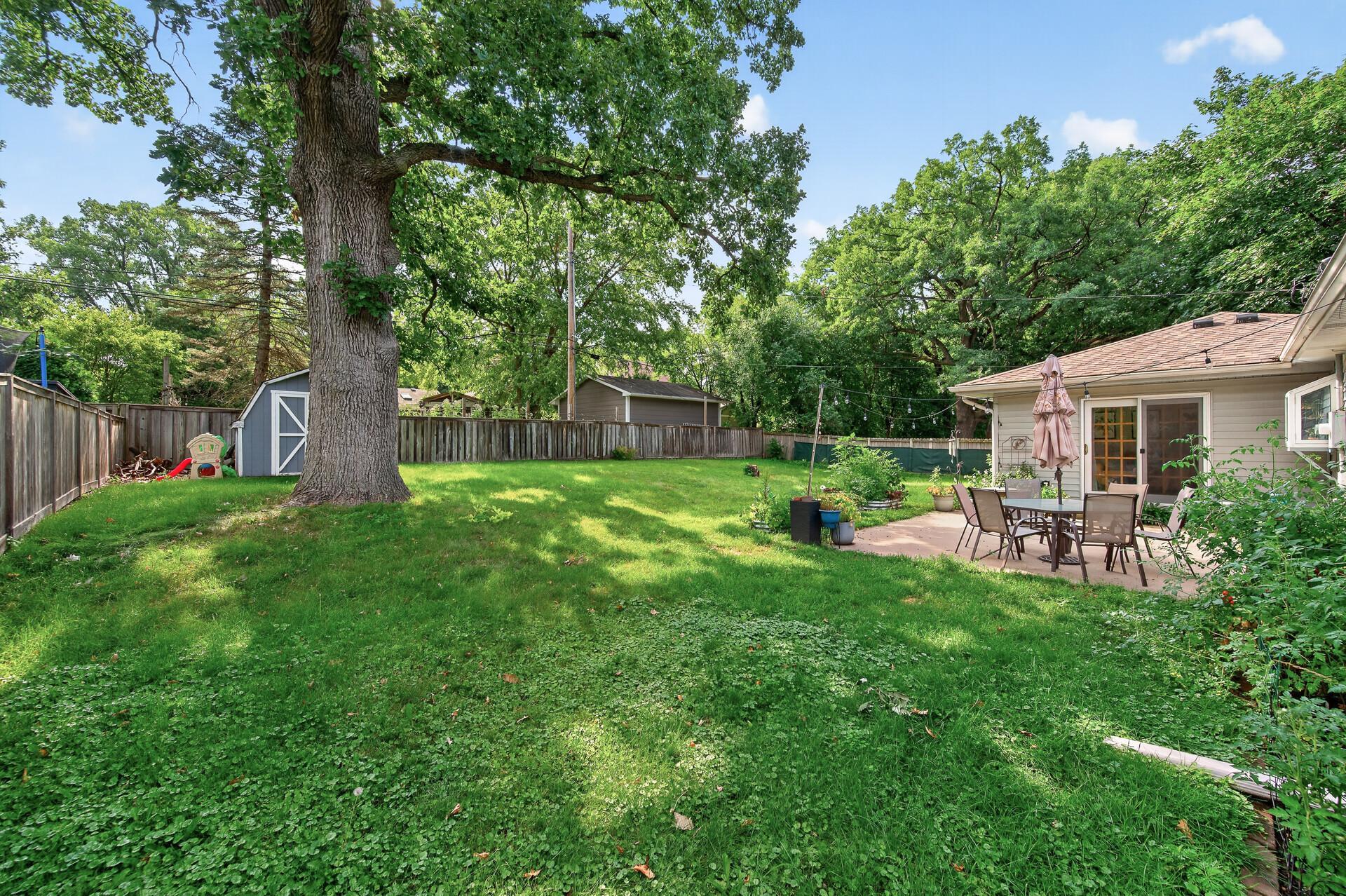 large backyard