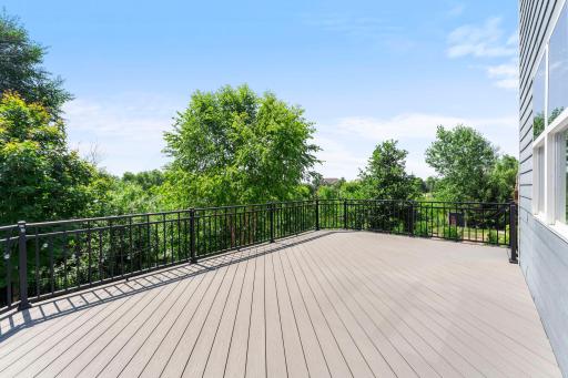 Summer evenings on the maintenance-free deck overlooking protected wetlands.
