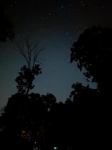 Views of the night sky
