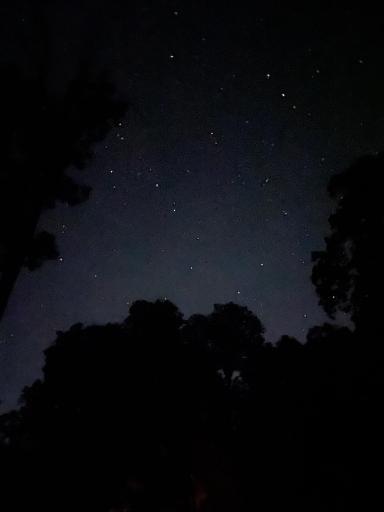 Views of the night sky