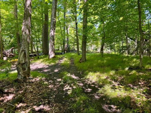 Back Paths