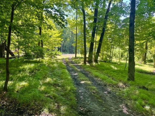 Paths