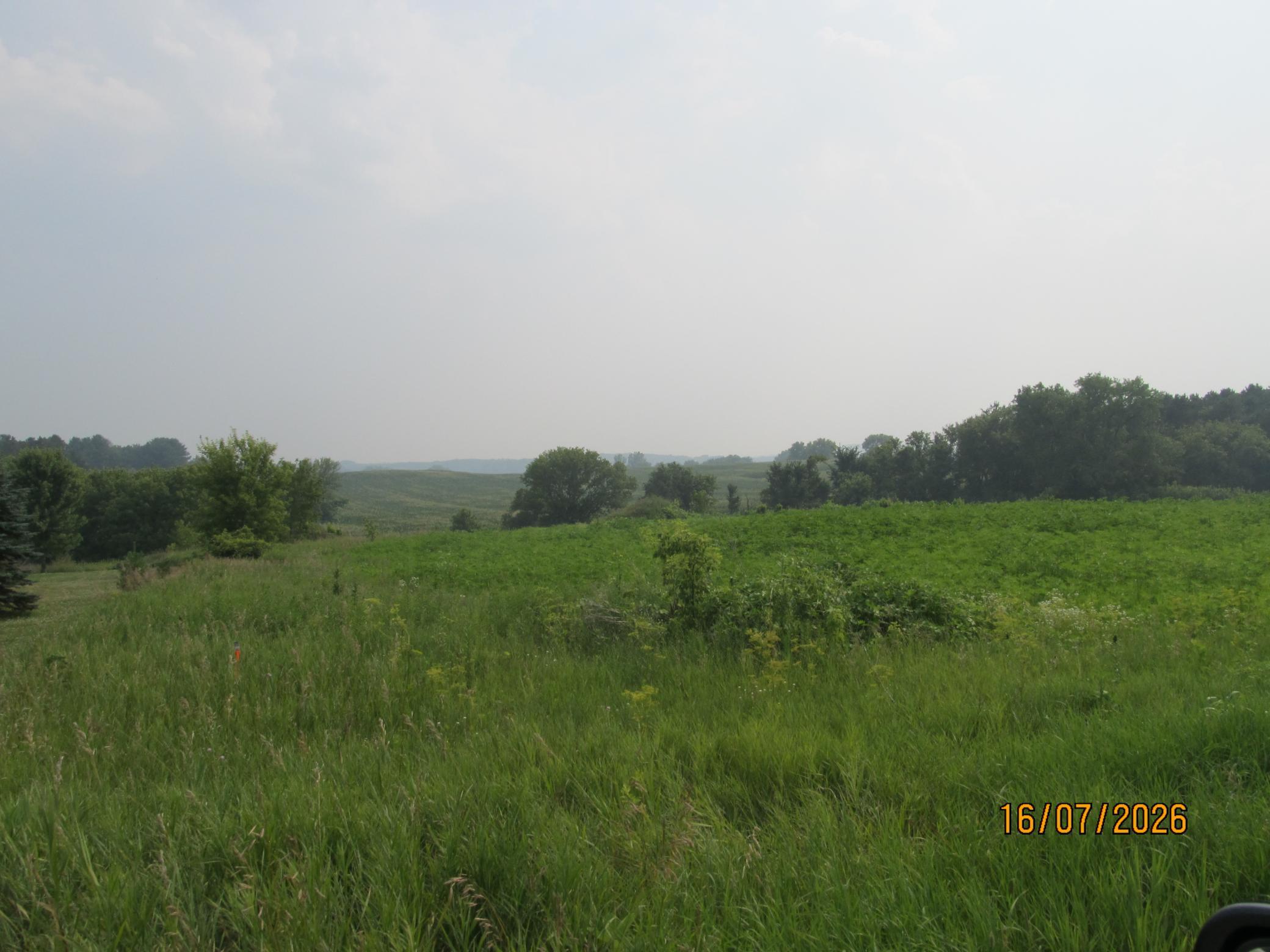 IMG_2806.JPG