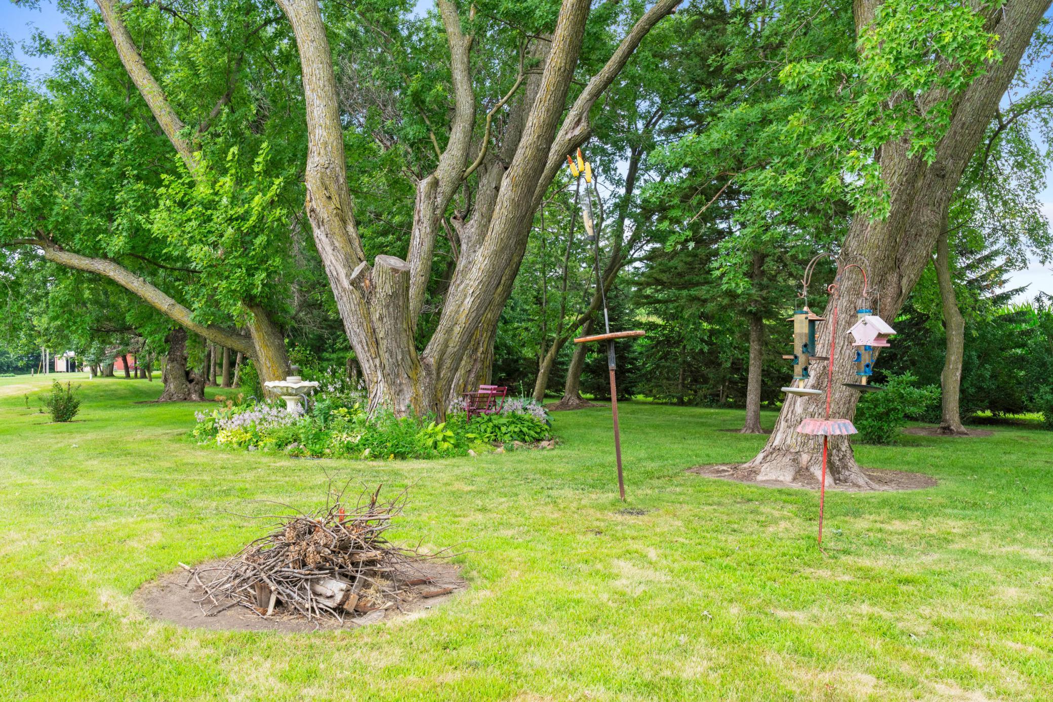 Yard with Fire Pit