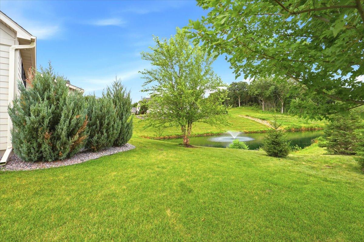 29-Backyard.jpg
