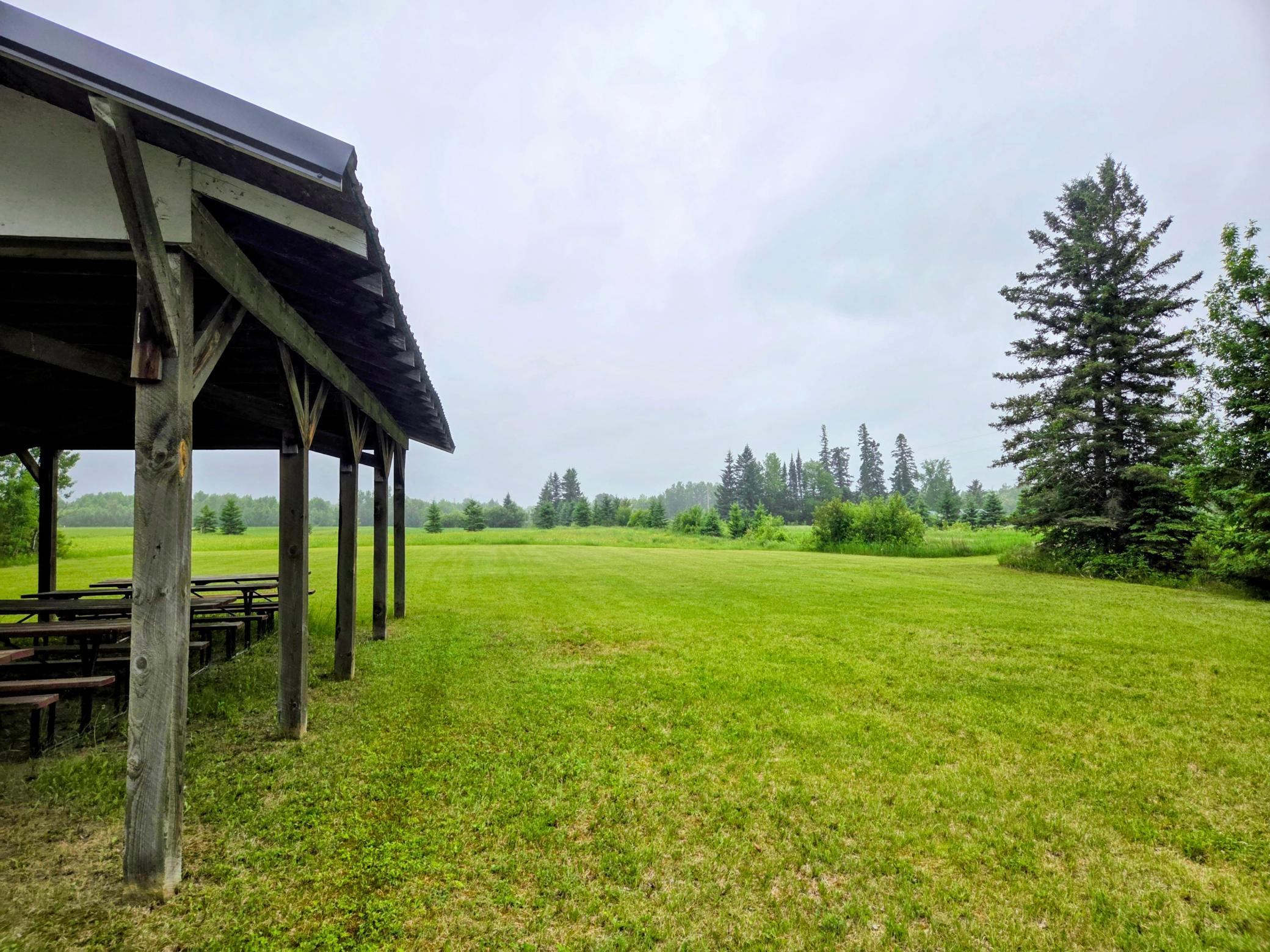 Field yard.jpg
