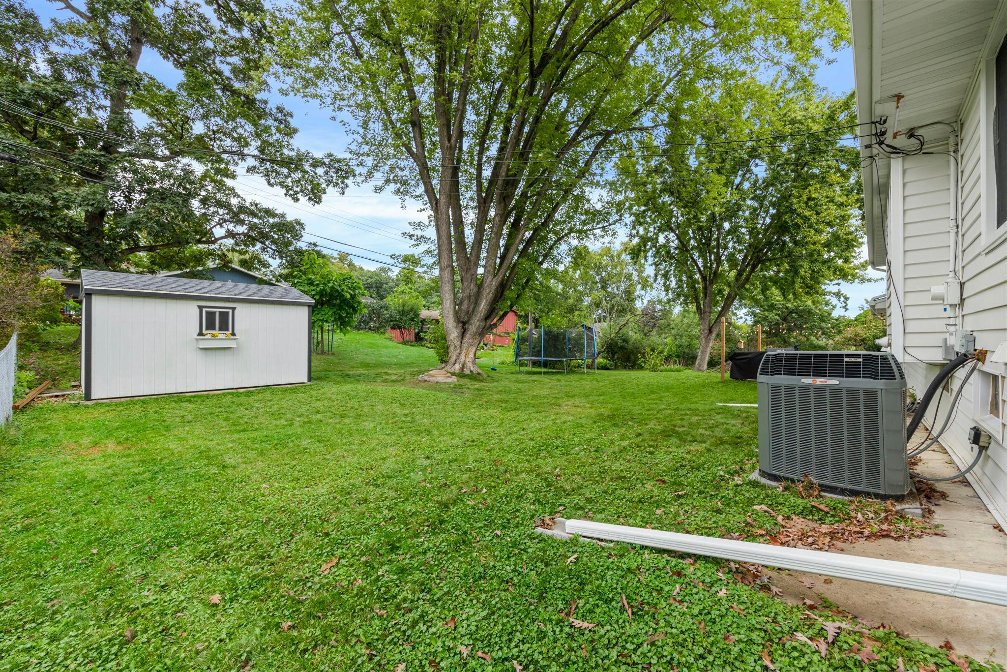 Trane AC unit; beautiful maple tree