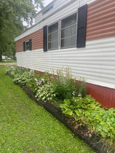 West side of home- lots of perennials