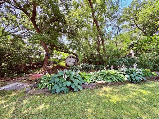 Beautiful garden